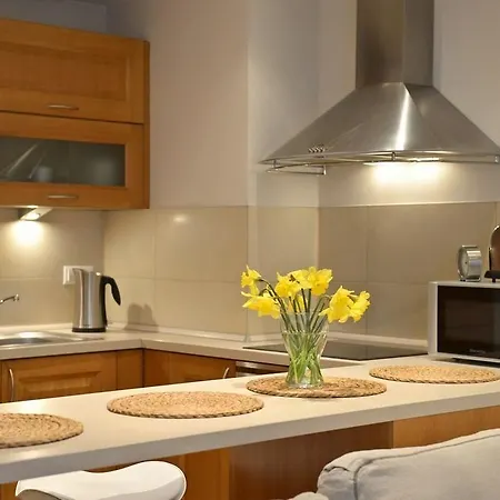 La Gioia Designer's Lofts Luxury * 크라쿠프